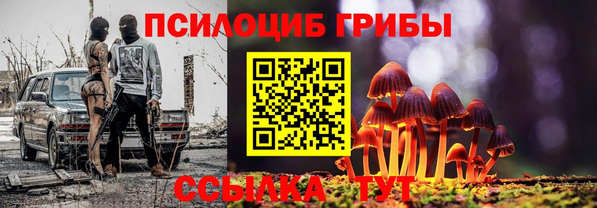 Псилоцибиновые грибы Cubensis Выборг